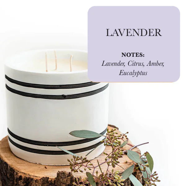 Lavender - Lavender Fragrance